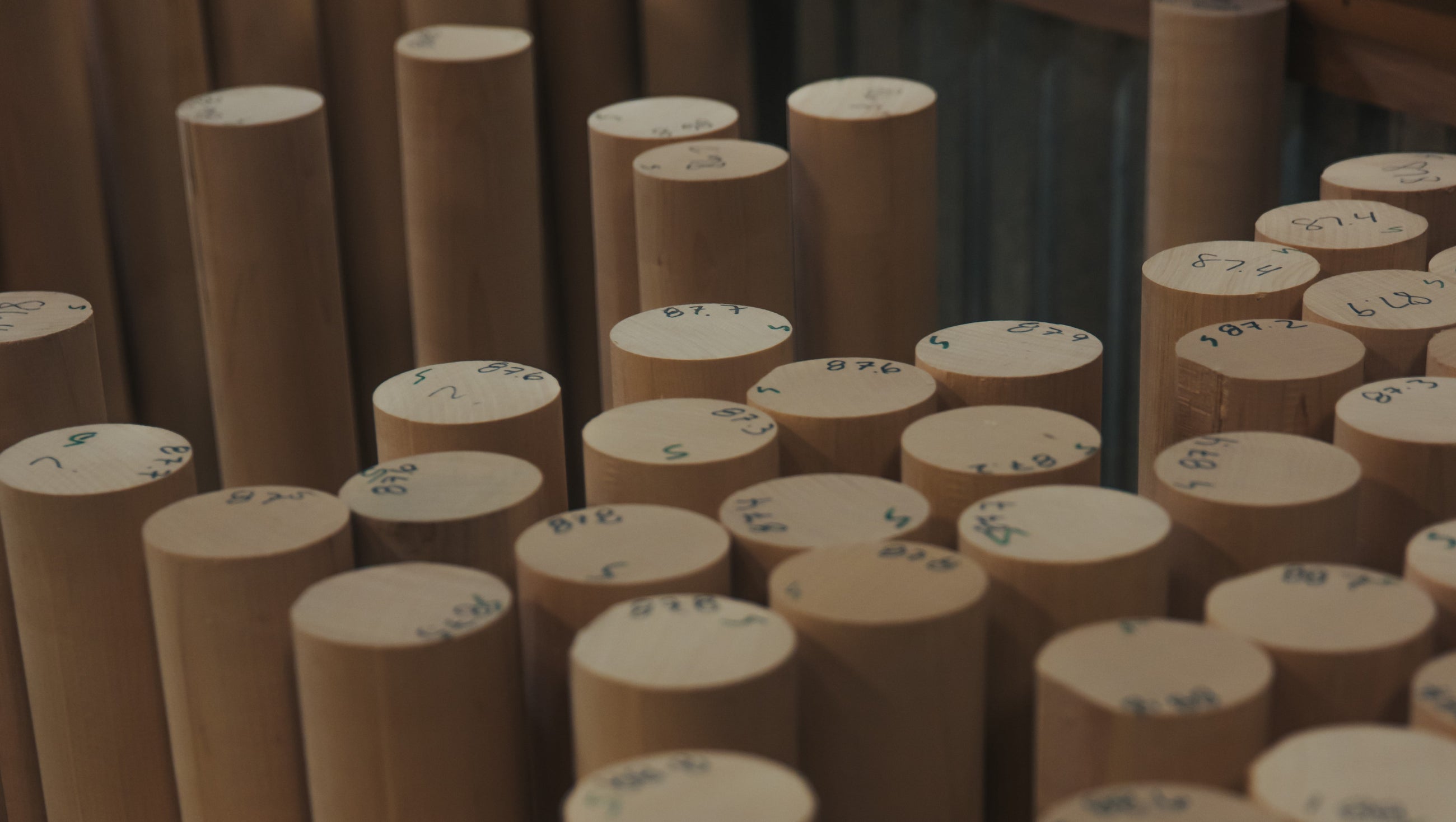 Pro Select Wood Bats